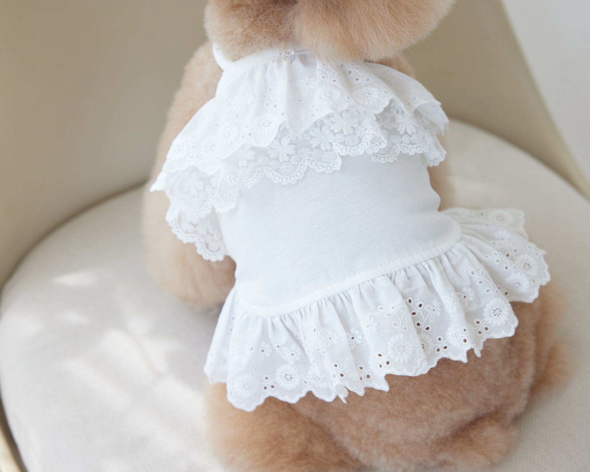 Elin Dress (3 color)