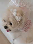 Load image into Gallery viewer, Pink Ballerina Chiffon Skirt
