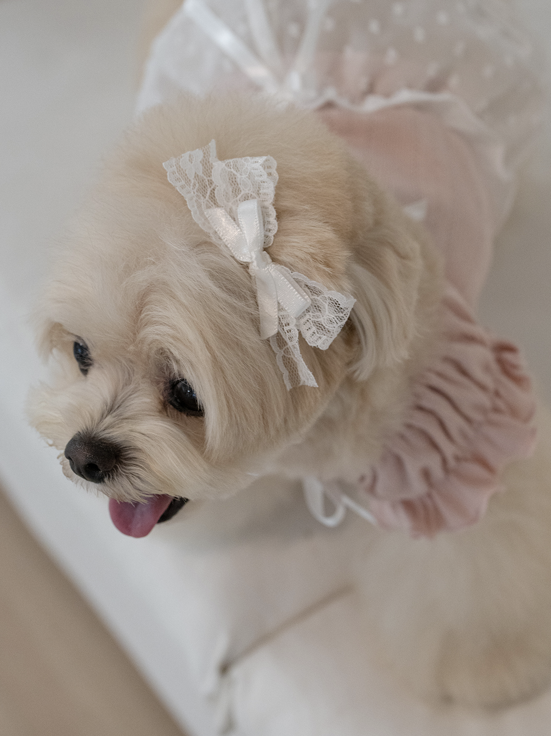Pink Ballerina Chiffon Skirt