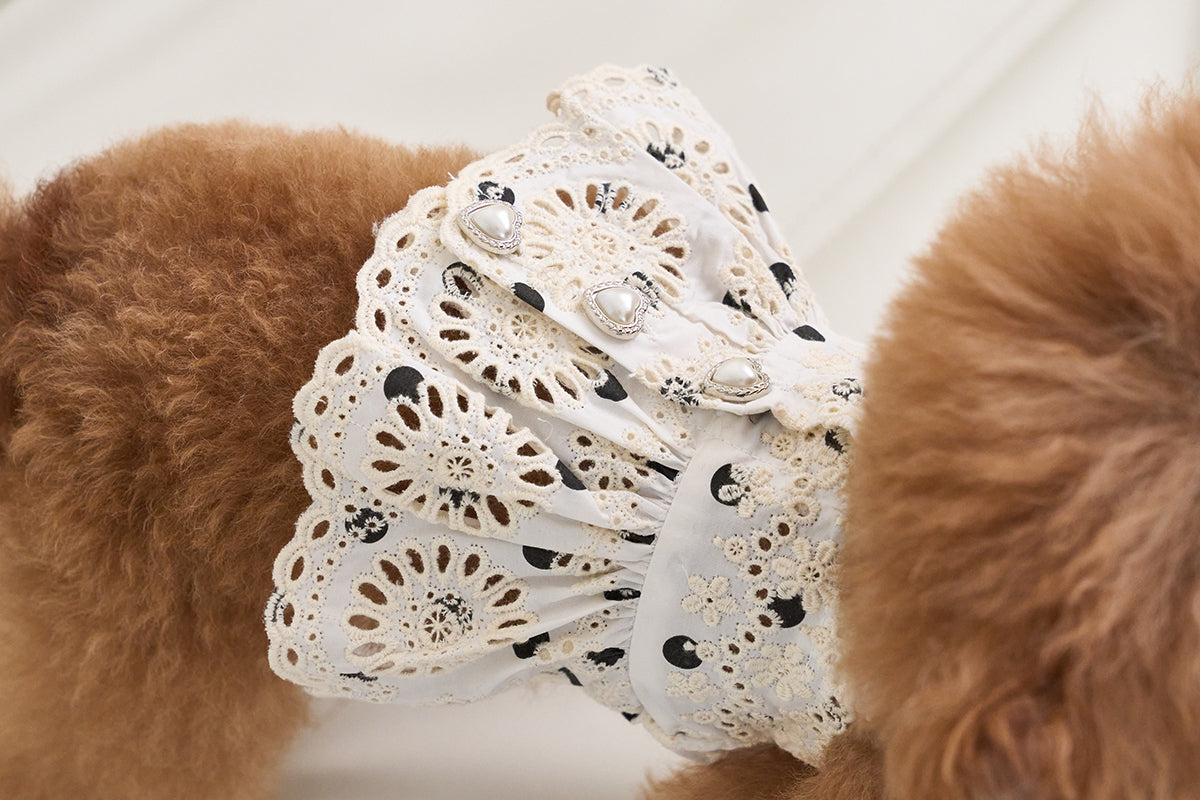 Love dot bustier (3 Color)