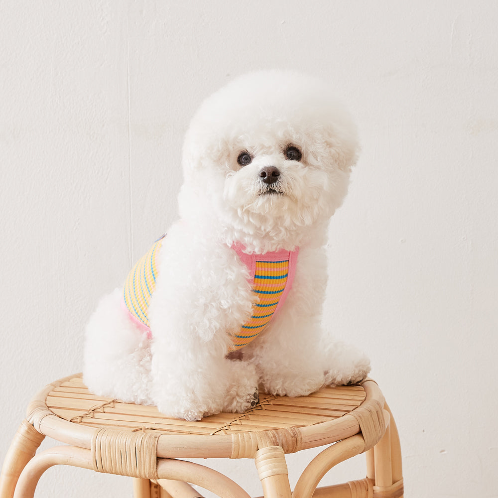 Cherry Bear Crop Top