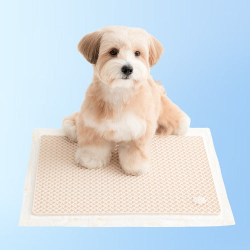 Zero Guard Silicone Mat