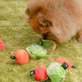 Load image into Gallery viewer, Vegetable Ball Toy
