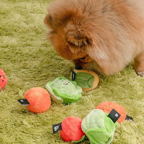 Vegetable Ball Toy