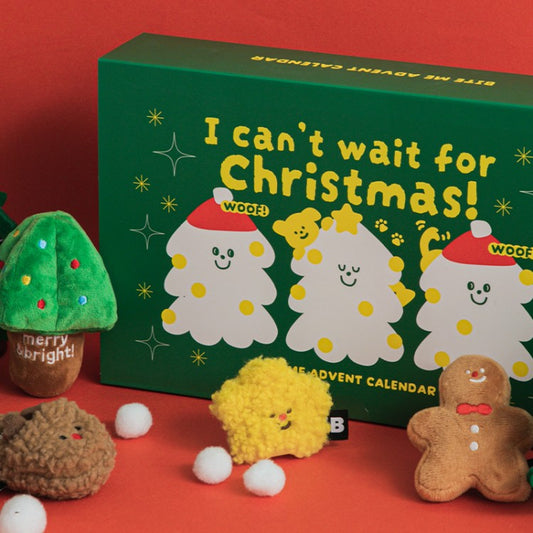 Christmas Advent Calendar Toy Set