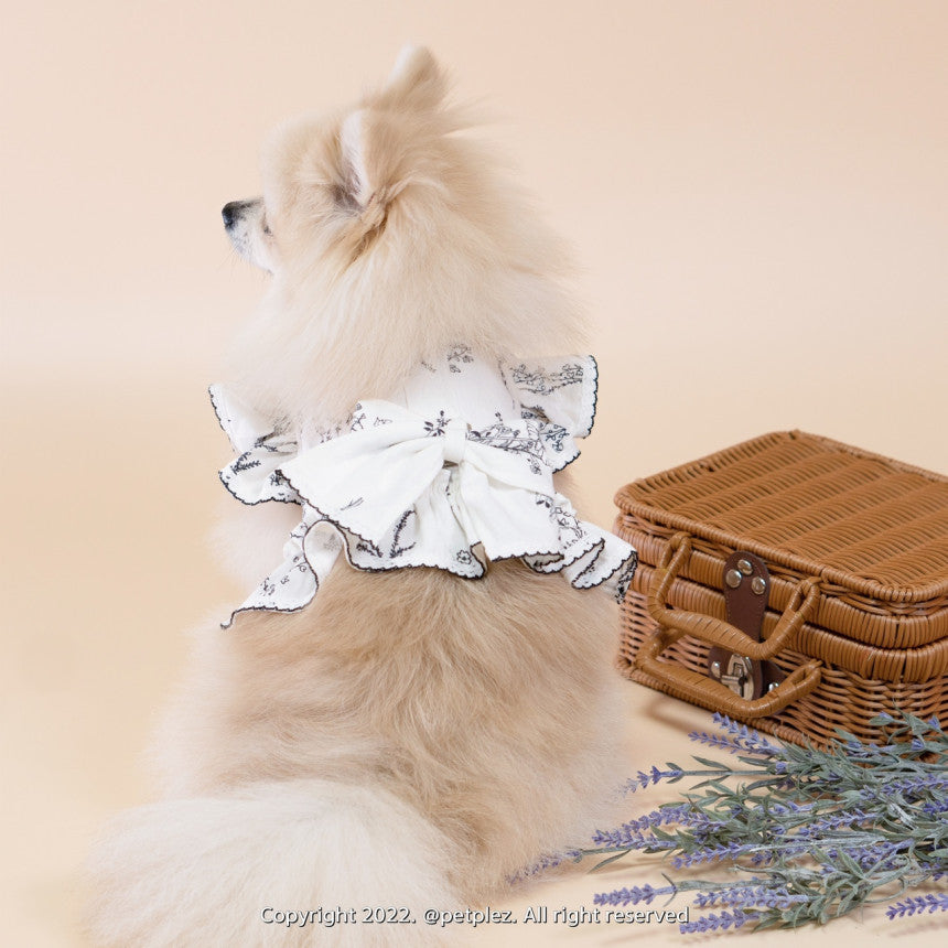 Drawing Harness Frill Skirt