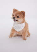 Load image into Gallery viewer, Mini Rose Bandana
