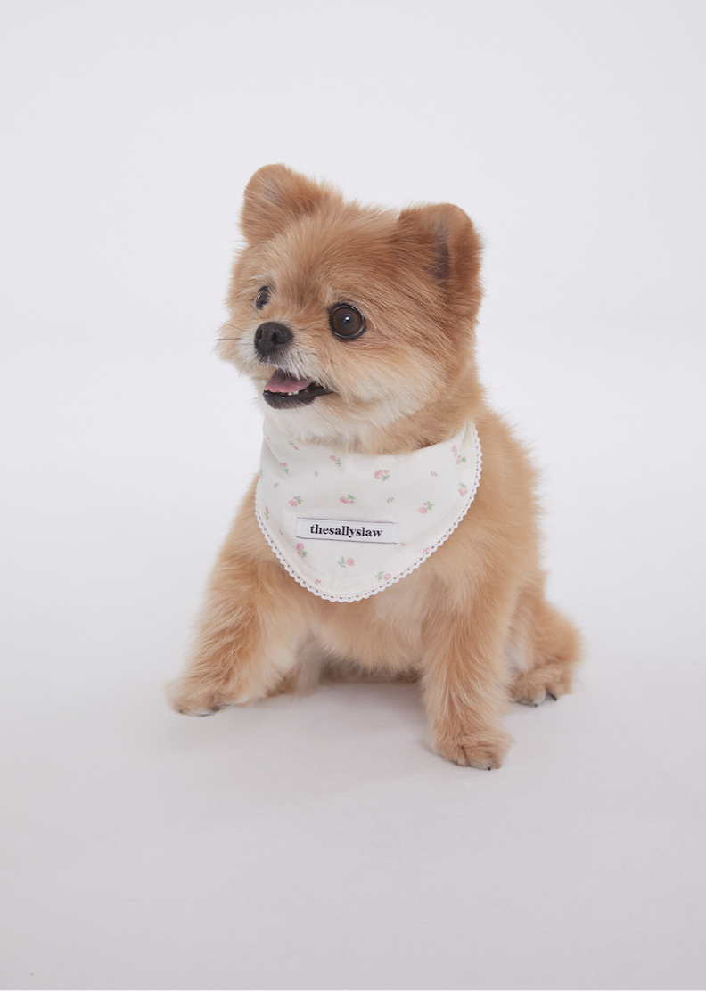 Mini Rose Bandana