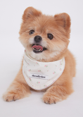 Load image into Gallery viewer, Mini Rose Bandana
