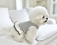 Load image into Gallery viewer, Cute Stripe Top
