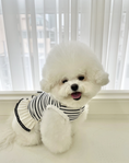 Load image into Gallery viewer, Cute Stripe Top
