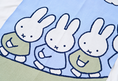 Load image into Gallery viewer, Miffy Knit Blanket
