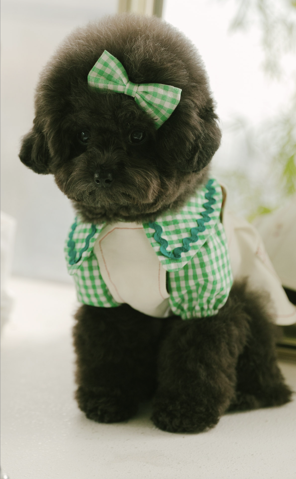 Spring Checkered Blouse