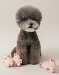 Load image into Gallery viewer, BonBon Green Furry Friends Mini Squeaky Toy
