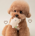 Load image into Gallery viewer, BonBon Green Furry Friends Mini Squeaky Toy
