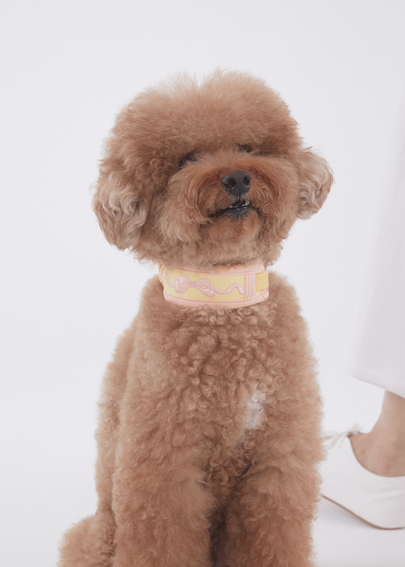 Vanilla Pink Cushioning Collar