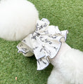 Load image into Gallery viewer, Drawing Harness Frill Skirt
