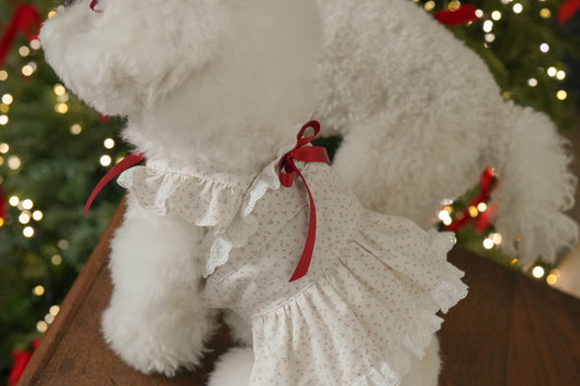 Merry Berry Shortcake Dress