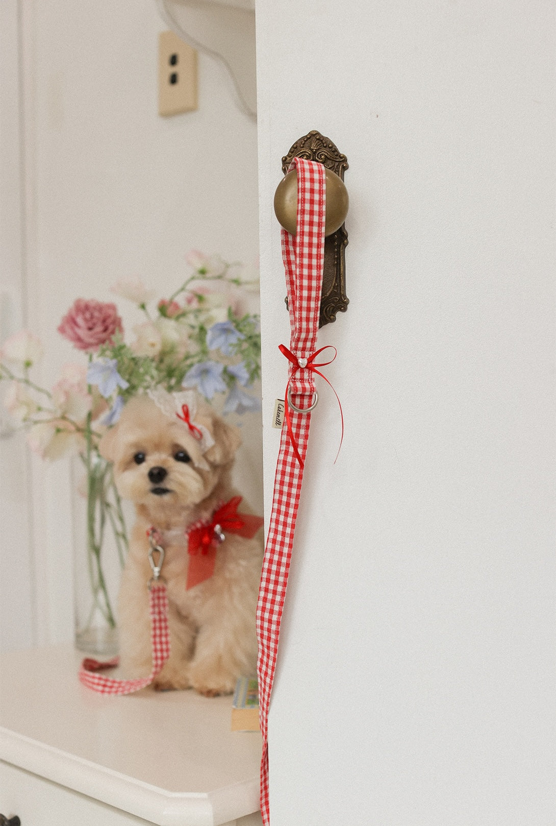 Love Letter Leash