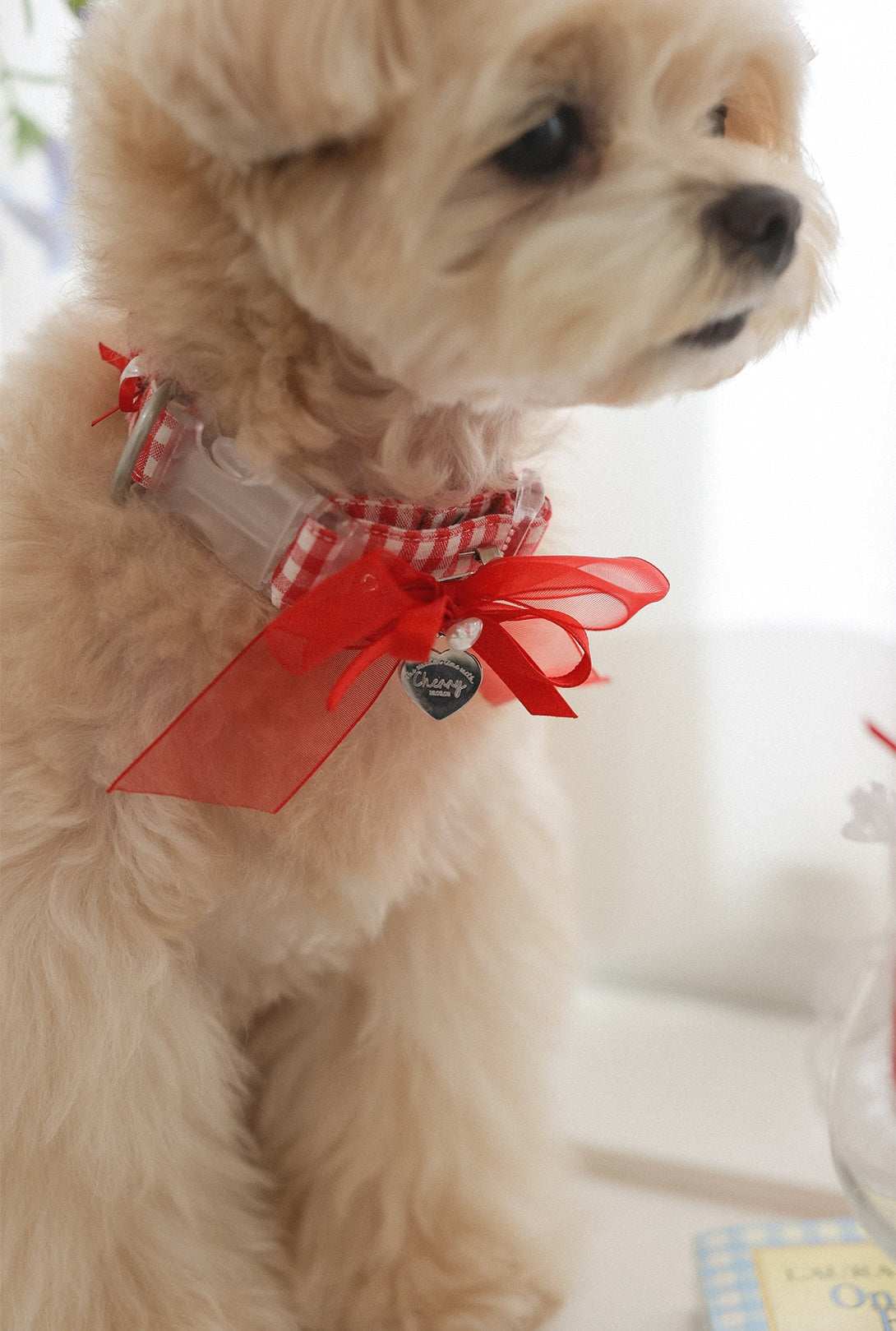 Love Letter Collar