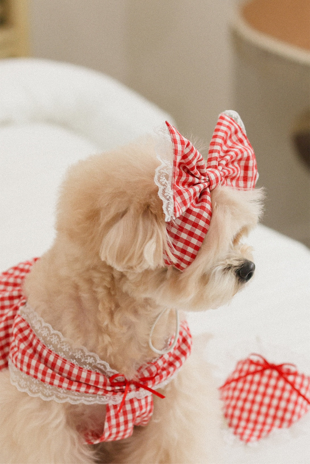 Love Letter Hairband