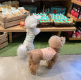 Load image into Gallery viewer, [Muji collab] Local Farm Crop Top
