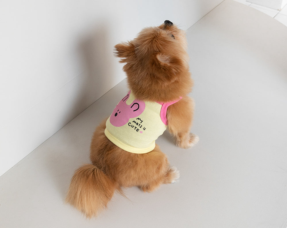 Birthday Crop Top