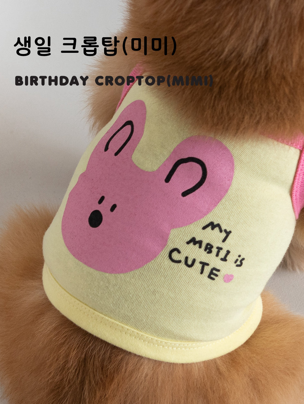 Birthday Crop Top