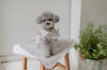 Load image into Gallery viewer, Pom Pom Lace Dress
