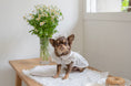 Load image into Gallery viewer, Pom Pom Lace Dress
