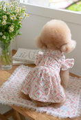 Load image into Gallery viewer, Pom Pom Lace Dress
