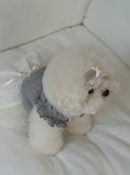 Load image into Gallery viewer, Gray Ballerina Chiffon Skirt

