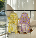 Load image into Gallery viewer, Sunshine Raincoat
