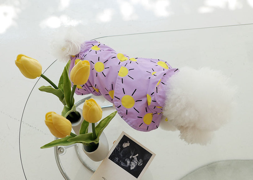 Sunshine Raincoat