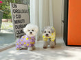 Load image into Gallery viewer, Sunshine Raincoat
