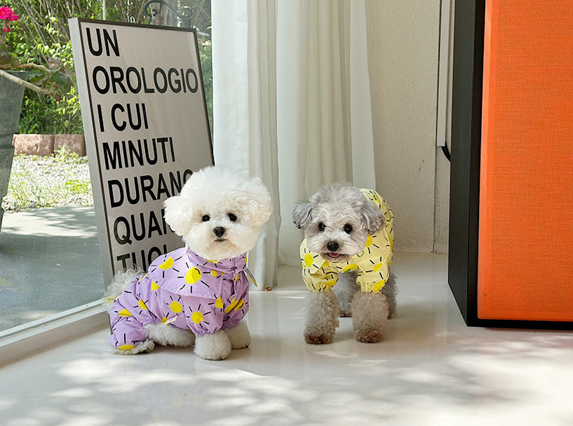 Sunshine Raincoat