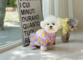 Load image into Gallery viewer, Sunshine Raincoat
