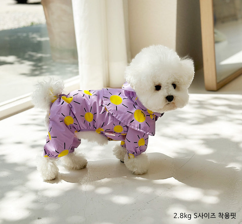 Sunshine Raincoat