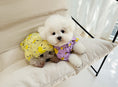 Load image into Gallery viewer, Sunshine Raincoat
