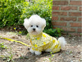 Load image into Gallery viewer, Sunshine Raincoat
