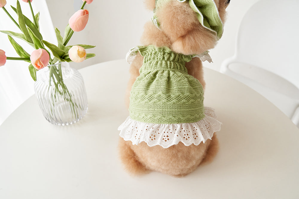 Macaron Knit Dress (4 colors)