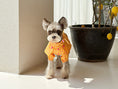 Load image into Gallery viewer, Check Cape Raincoat
