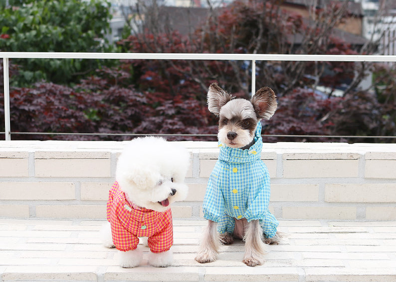 Check Raincoat