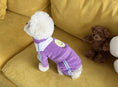 Load image into Gallery viewer, Tennis Sweatsuit
