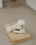 Load image into Gallery viewer, Sand cushion bed (3color)
