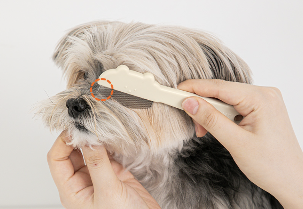 Jelly Bear Round Face Comb