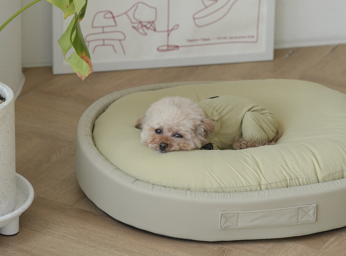 Bed Cooling Summer Cushion SO-BD311