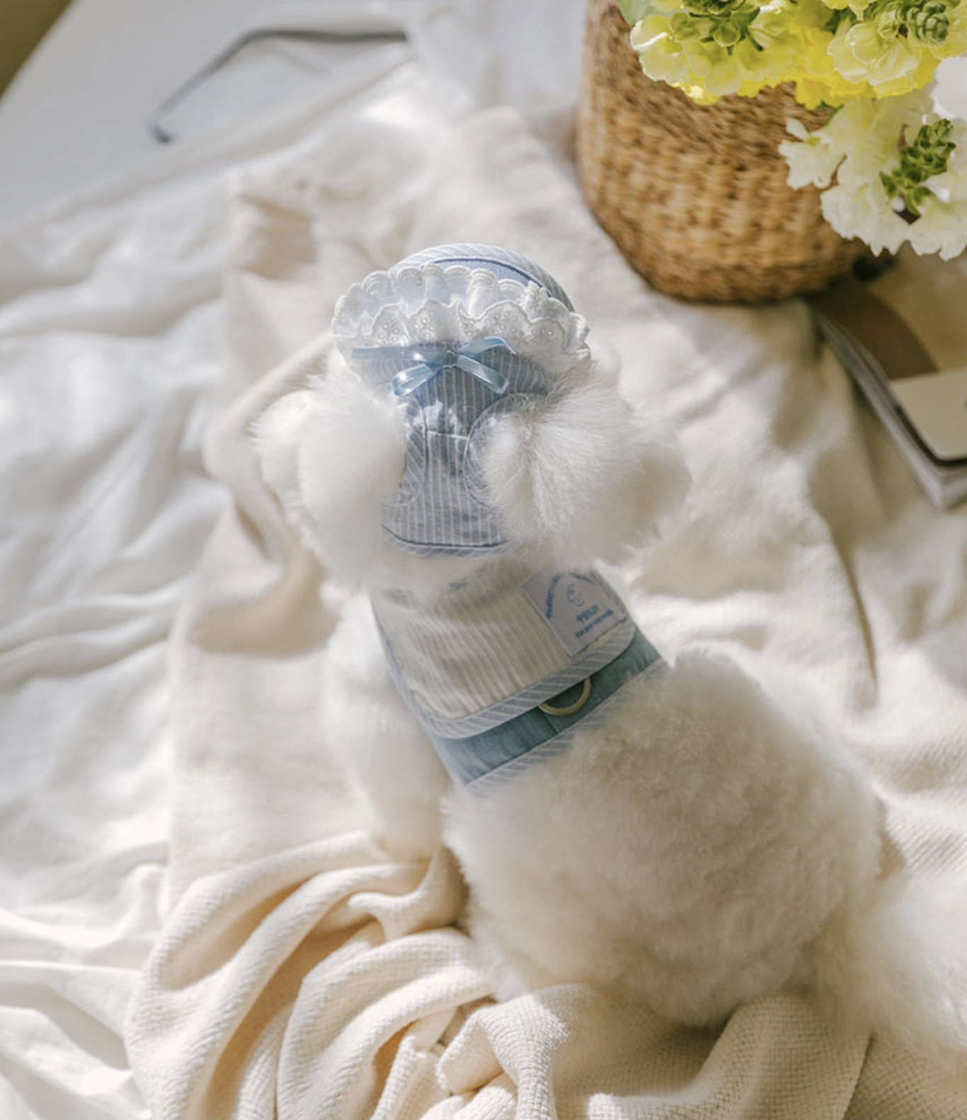 Bebe Bib Harness