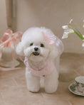 Load image into Gallery viewer, Fairy Tutu Ops
