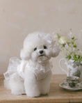 Load image into Gallery viewer, Fairy Tutu Ops
